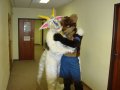 DSC00281.JPG